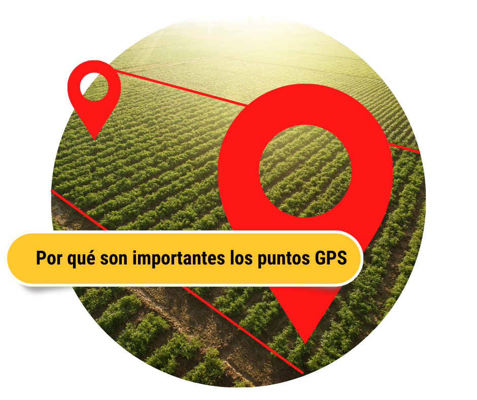 Online Sampling GPS Resources SP(2).png